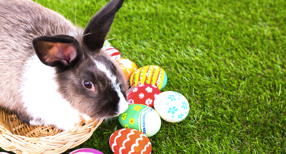 The very strange history of the Easter Bunny