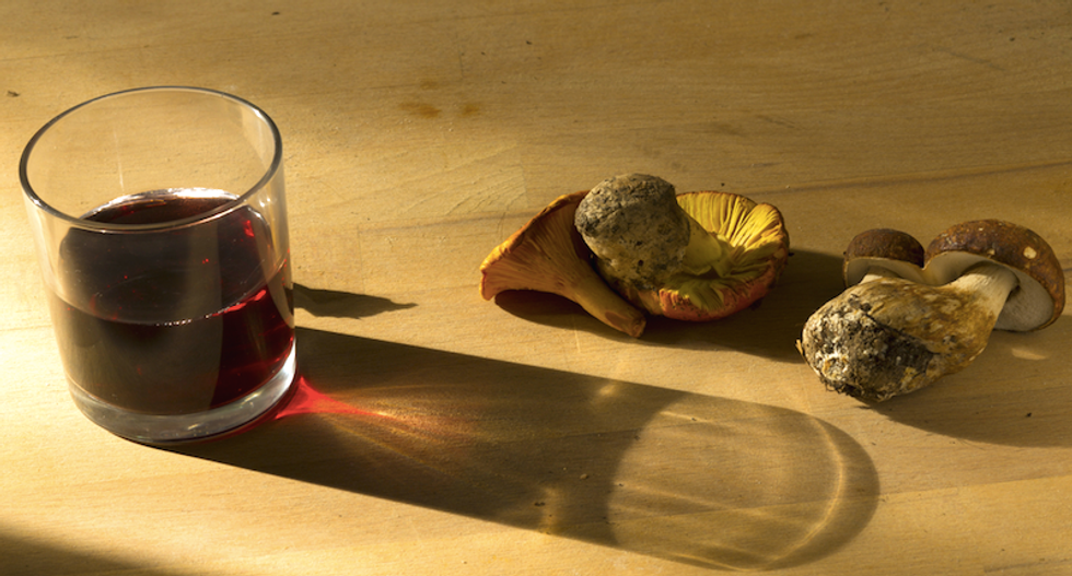 Grieving dad sues quack who treated dying son’s cancer with fungi and alcohol instead of medicine