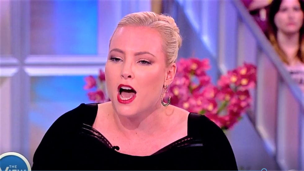 WATCH: The View's Meghan McCain hilariously melts down after GOP guest calls Trump supporters 'a cult'