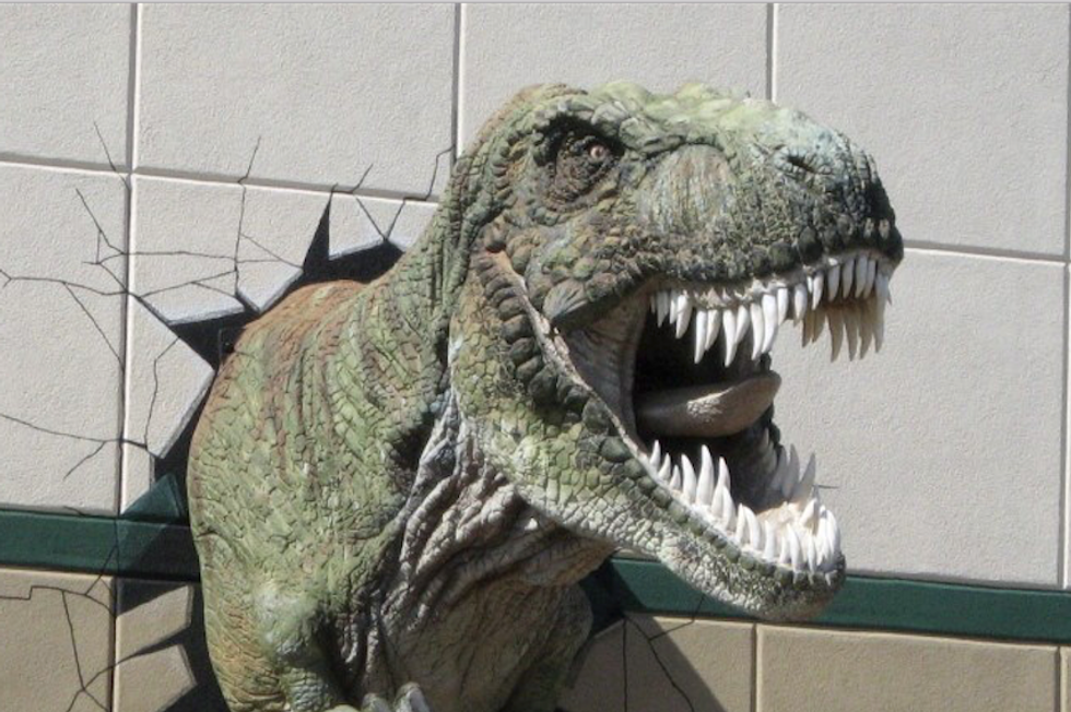 Montana newspaper exposes hilarious 'facts' on display at creationist museum