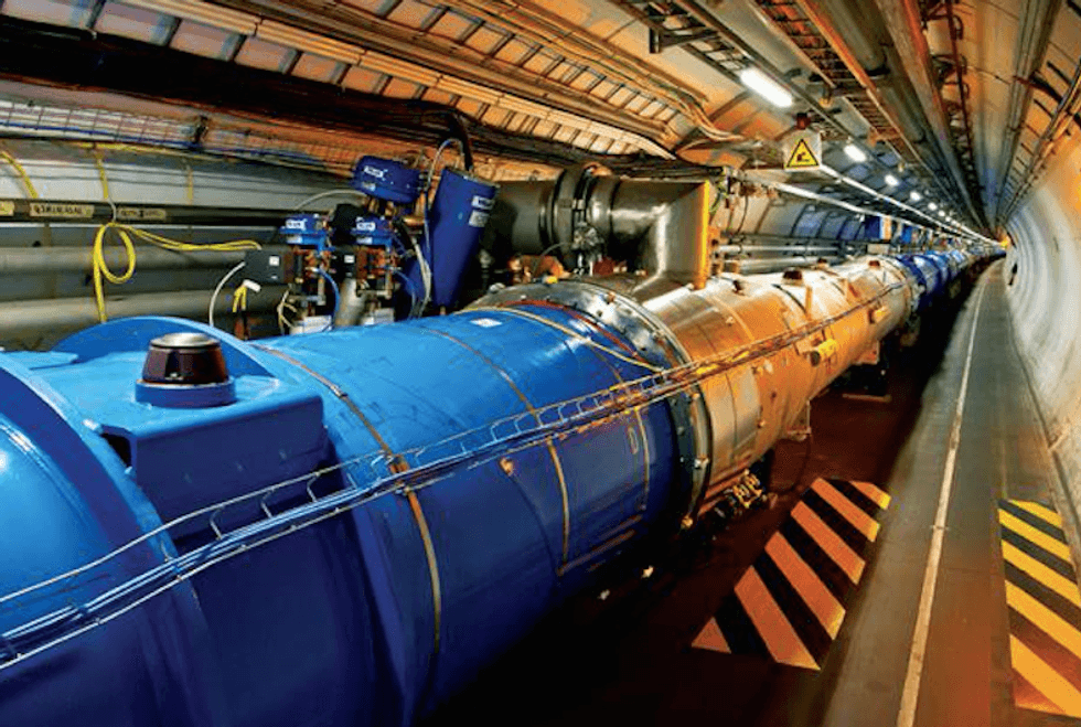 Weasel accident shuts down world's largest particle collider
