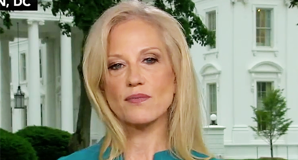 Author busts Kellyanne Conway as ‘number one leaker’ in White House: She tells ‘mean ugly lies’