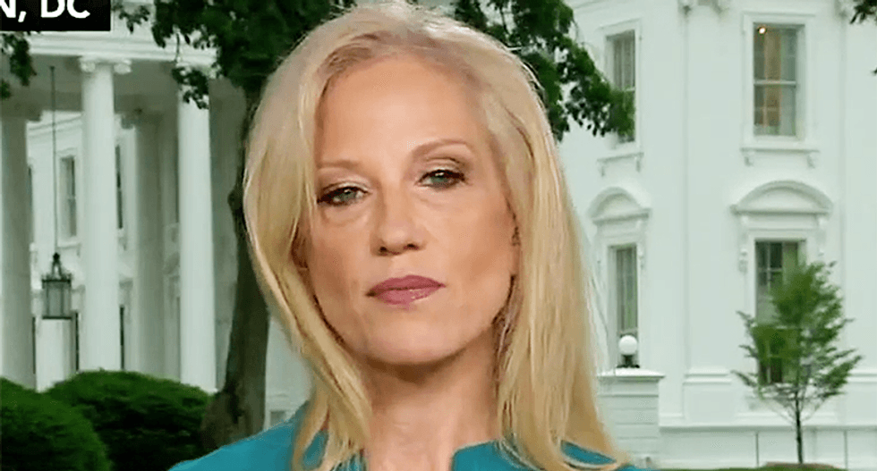 Author busts Kellyanne Conway as ‘number one leaker’ in White House: She tells ‘mean ugly lies’