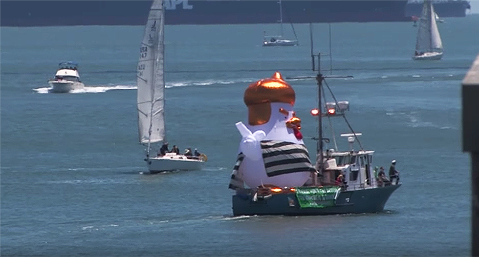 Trump chicken dressed in prison stripes circles Alcatraz in San Francisco Bay