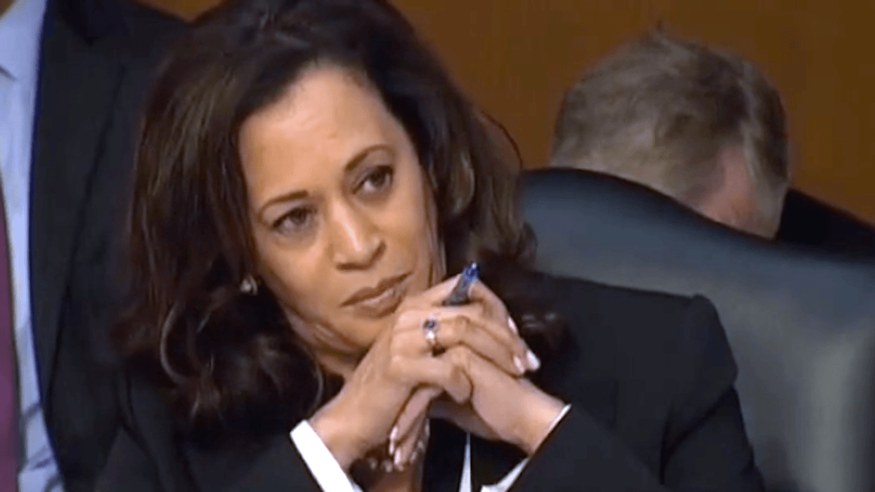 Kamala Harris would 'introduce new risks for' Trump if she replaces Biden: GOP adviser