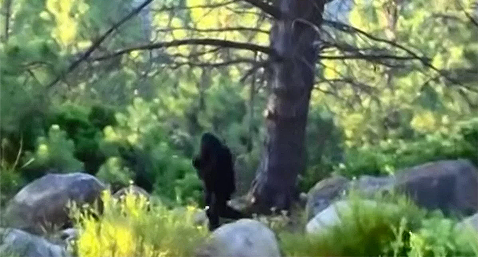 Right-wing Christians are now claiming that Bigfoot is really just the 'Devil'