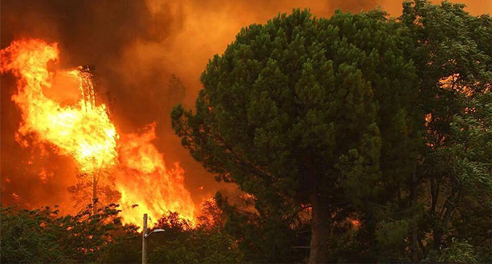 Trump claims California is throwing away water instead of fighting fires and touts cutting down trees as cure