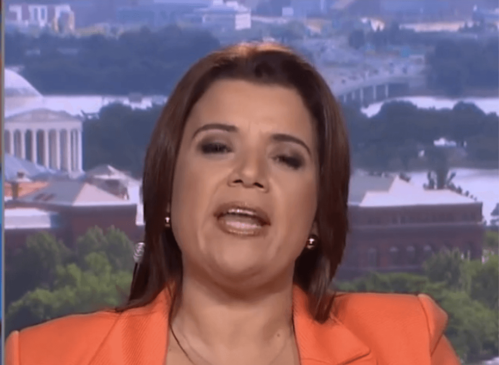'A cult-leader's call to action': Navarro says anti-CNN Trump tweet will get someone hurt or killed
