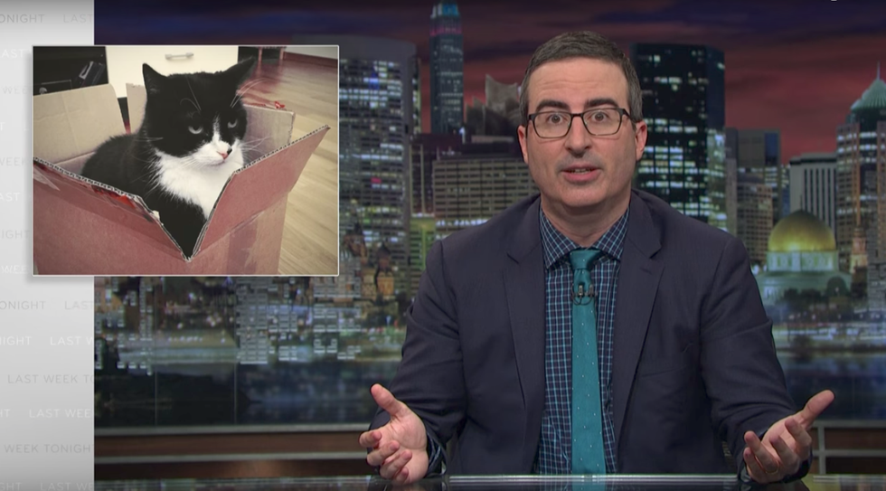 John Oliver: Trump surrogates lie instinctively like a cat can't help sitting in a box