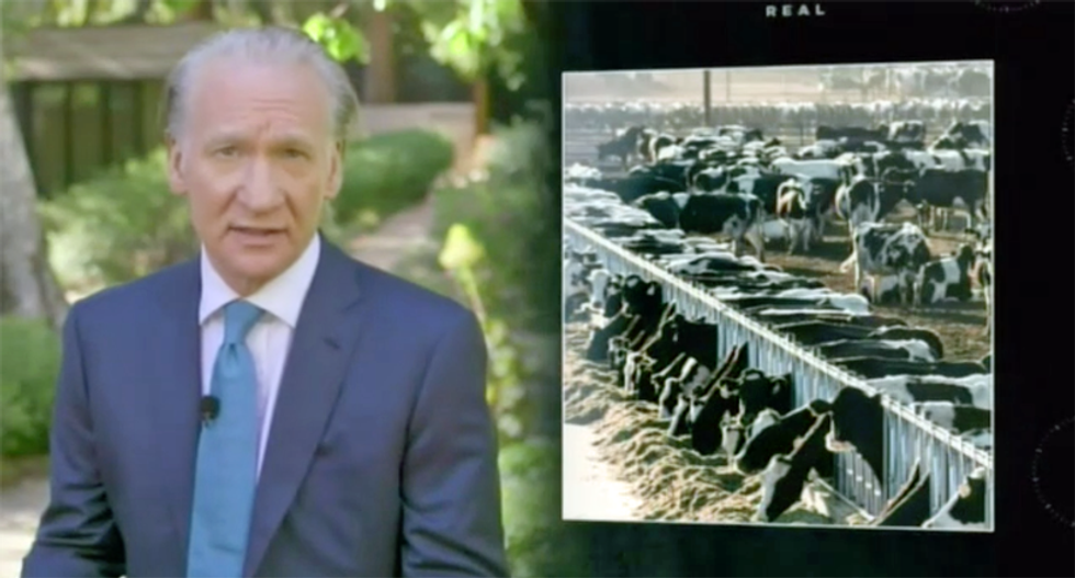 HBO's Bill Maher throws down against factory farming during impassioned coronavirus rant
