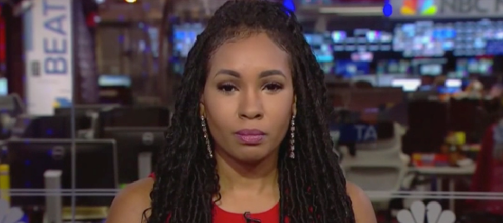 MSNBC guest details specific threats she got from MAGAbomber: 'He threatened to toss my body in the Everglades'