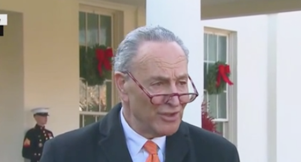 Watch Chuck Schumer stand on the White House lawn and destroy Trump for throwing a 'temper tantrum' on TV
