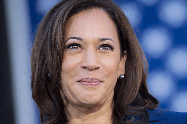 ‘People are energized’: LGBTQ+ rights groups and voters are lining up behind Harris