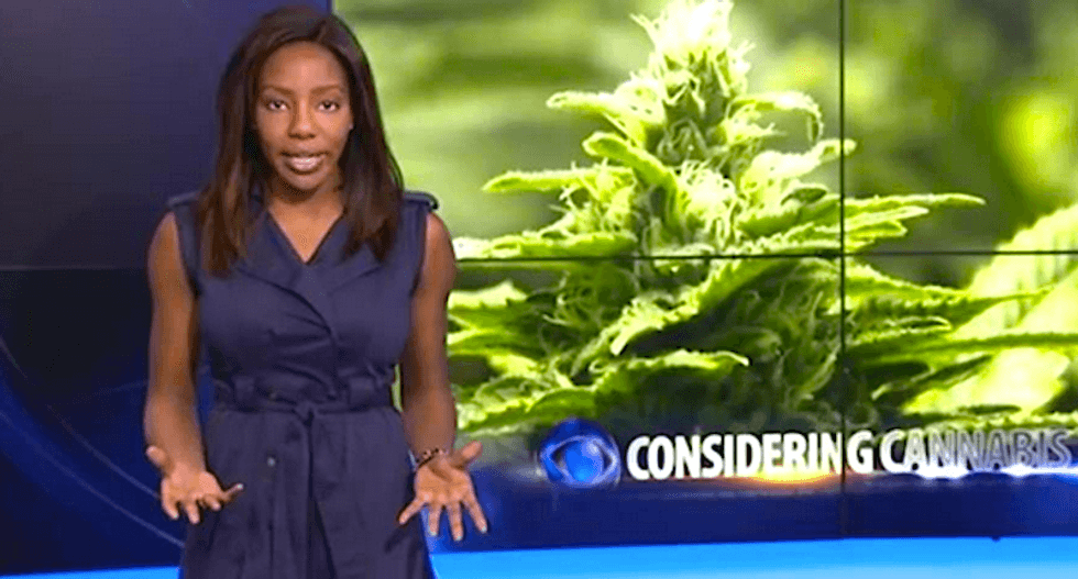 'F*ck it' reporter's pot coverage raises ethical concerns, dramatic exit could draw FCC fine
