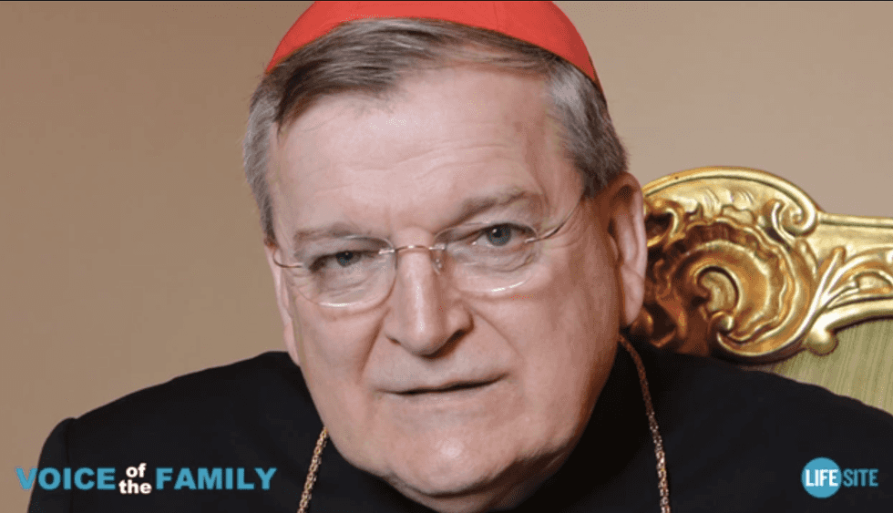 Vatican's top judge: Keep kids away from 'wrong, evil' gays for their own protection