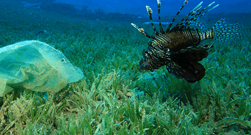Can ocean science bring Cuba and the United States together?