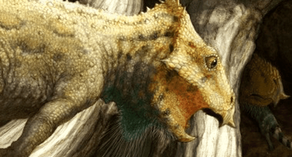 100 million-year-old skull of oldest horned dinosaur in North America found