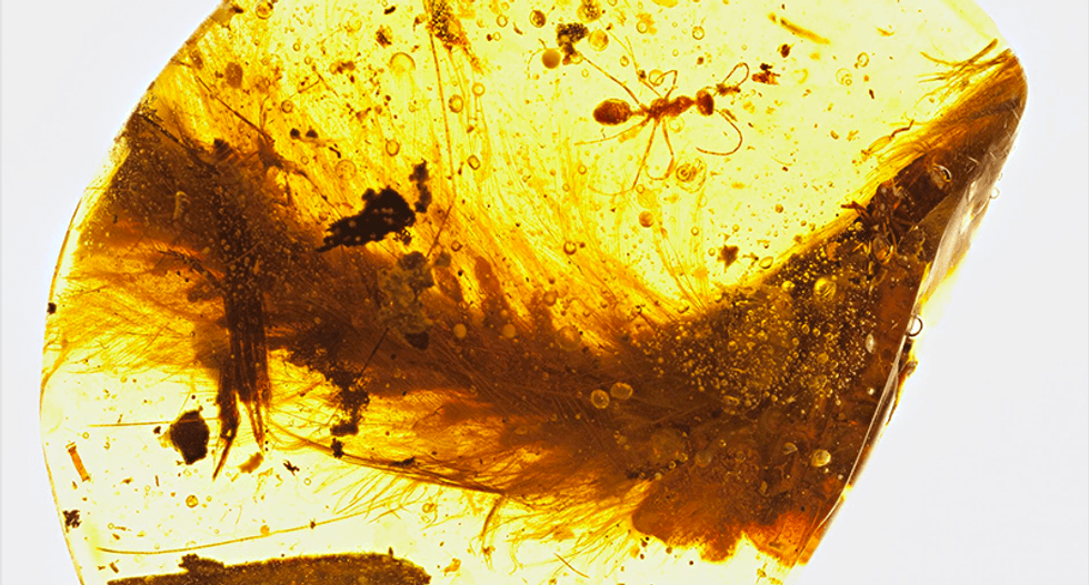 Meek dinosaur revealed to have been born with teeth but lost lost them in adulthood