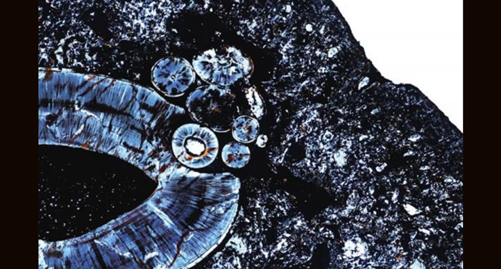 In fossil rarity, tumor found in 255-million-year-old beast