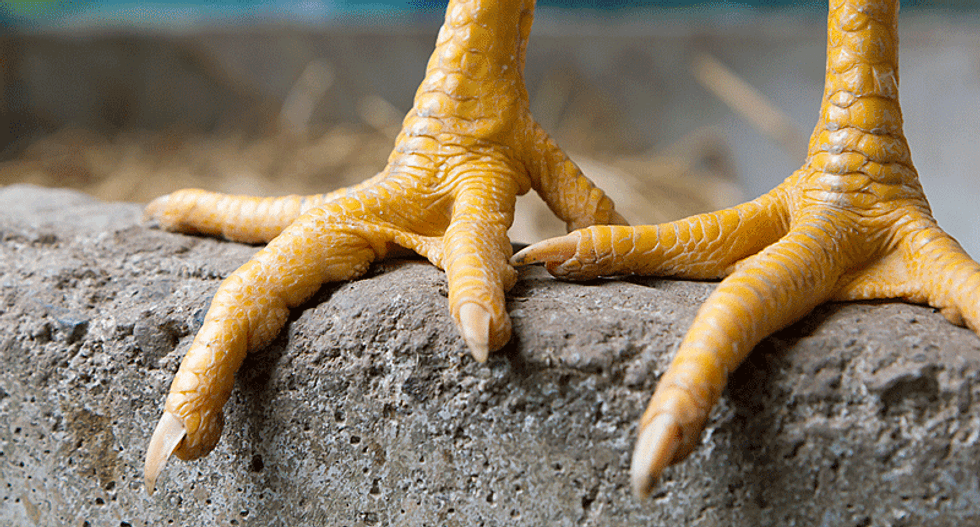 Forget coffee -- you may be drinking chicken feet and bones tomorrow morning