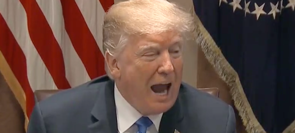 Trump ignores massive march on guns to go on Twitter rant about building wall to keep out ISIS 'enemy combatants'