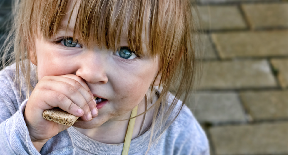 Republicans can't stop comparing food stamp recipients to wild animals on Facebook