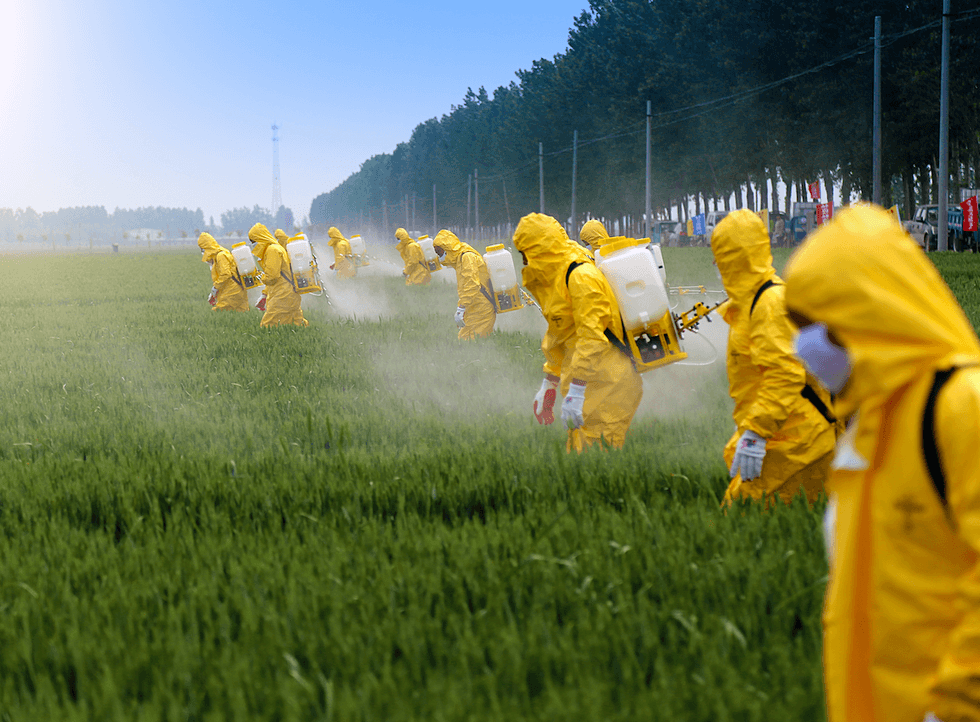 Trump administration is 'relentless' in keeping pesticide linked to brain damage in children on the market: scientists