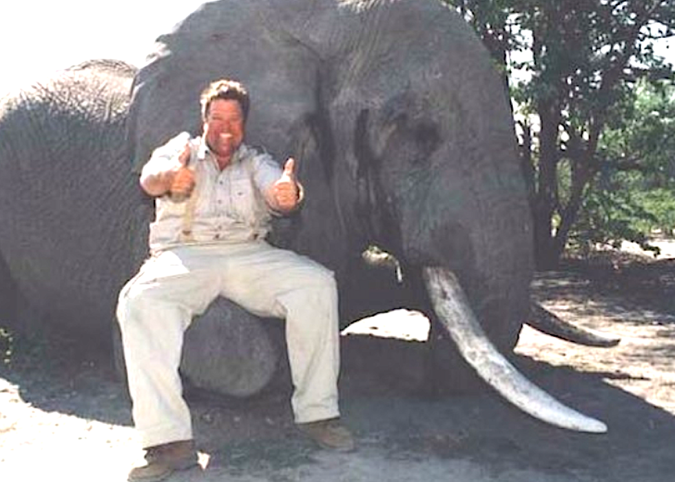 #BoycottJimmyJohns trends after photo resurfaces showing restaurant's owner with thumbs-up next to dead elephant
