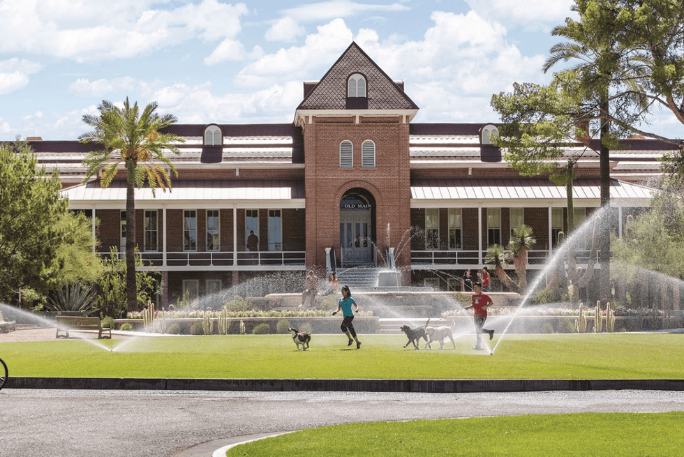 University of Arizona sends white students to social justice program as punishment for a violent hate crime
