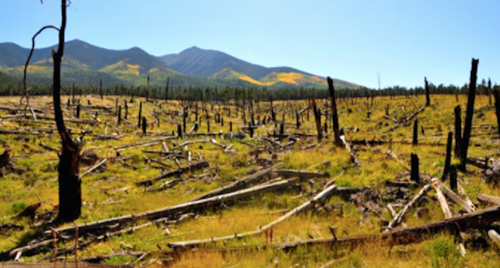 Forest Service tweet roasts Trump order opening up national monuments to drilling and mining