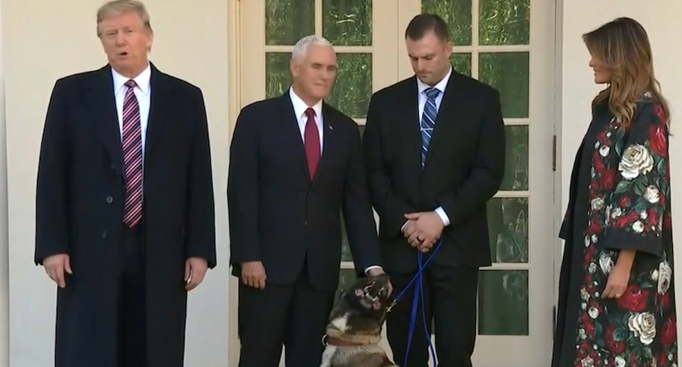 ‘He hates dogs’: Trump ridiculed for Conan the hero dog photo op