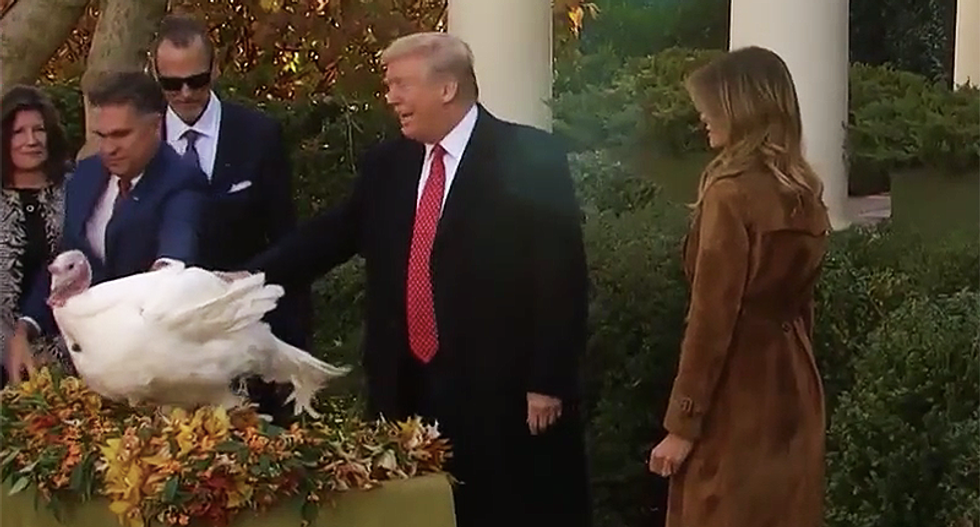 WATCH: Trump shamed Thanksgiving turkey for refusing to concede White House pardon contest