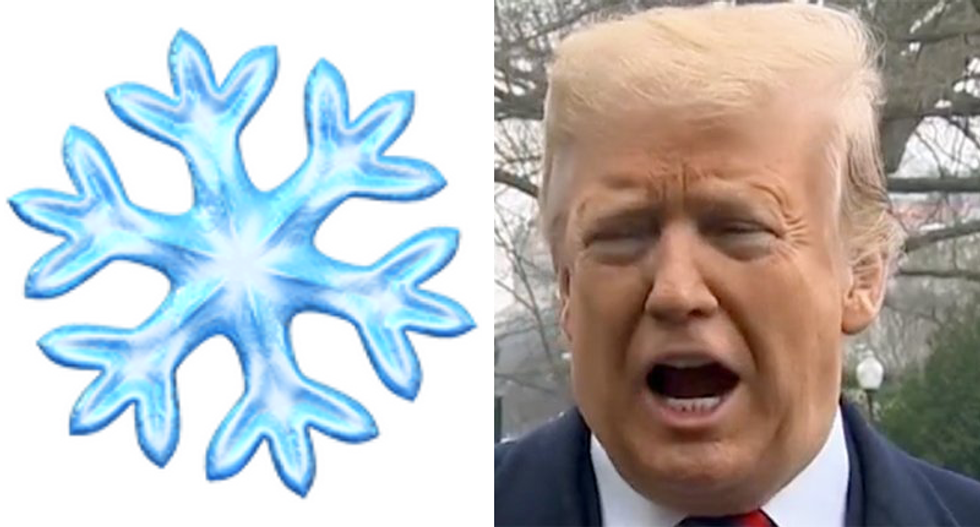 Trump torched as the most 'easily triggered snowflake' by conservative columnist