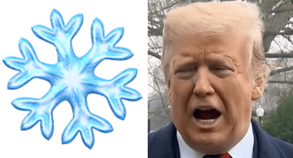 Trump torched as the most 'easily triggered snowflake' by conservative columnist
