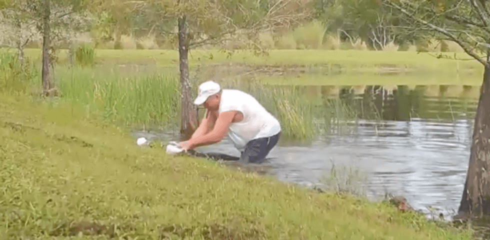 'Hero' retiree turns 'Florida man' trope on its head with incredible rescue of puppy from gator's jaw