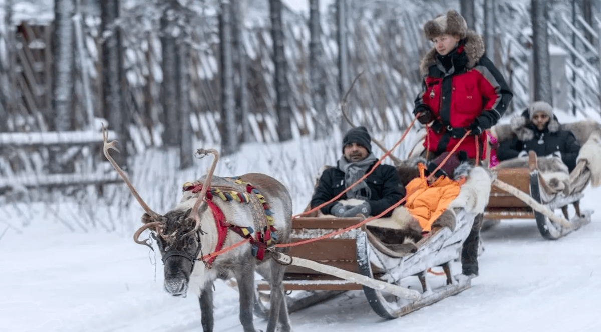 Lonely Christmas in Santa's homeland as tourists stay away