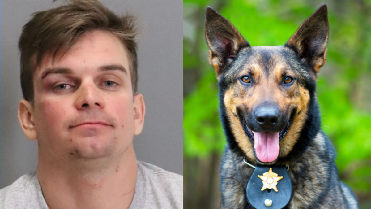 Slur-spewing suspect tries to choke police dog after brutal anti-gay assault