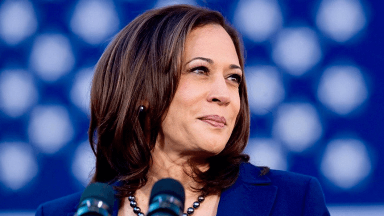 Right-wingers freak out over 'gas stove' in Kamala Harris Thanksgiving photo