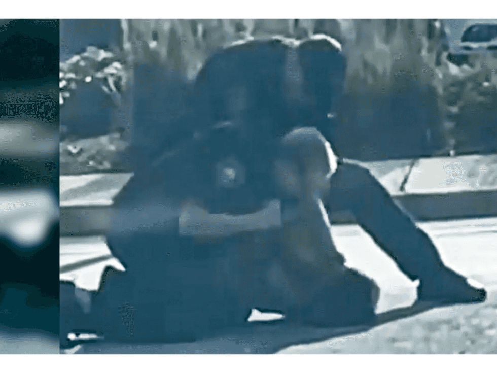 Viral video shows police officer punching tackled teenager in the face following traffic stop