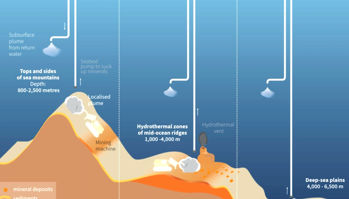 Deep ocean targeted for mining is rich in unknown life