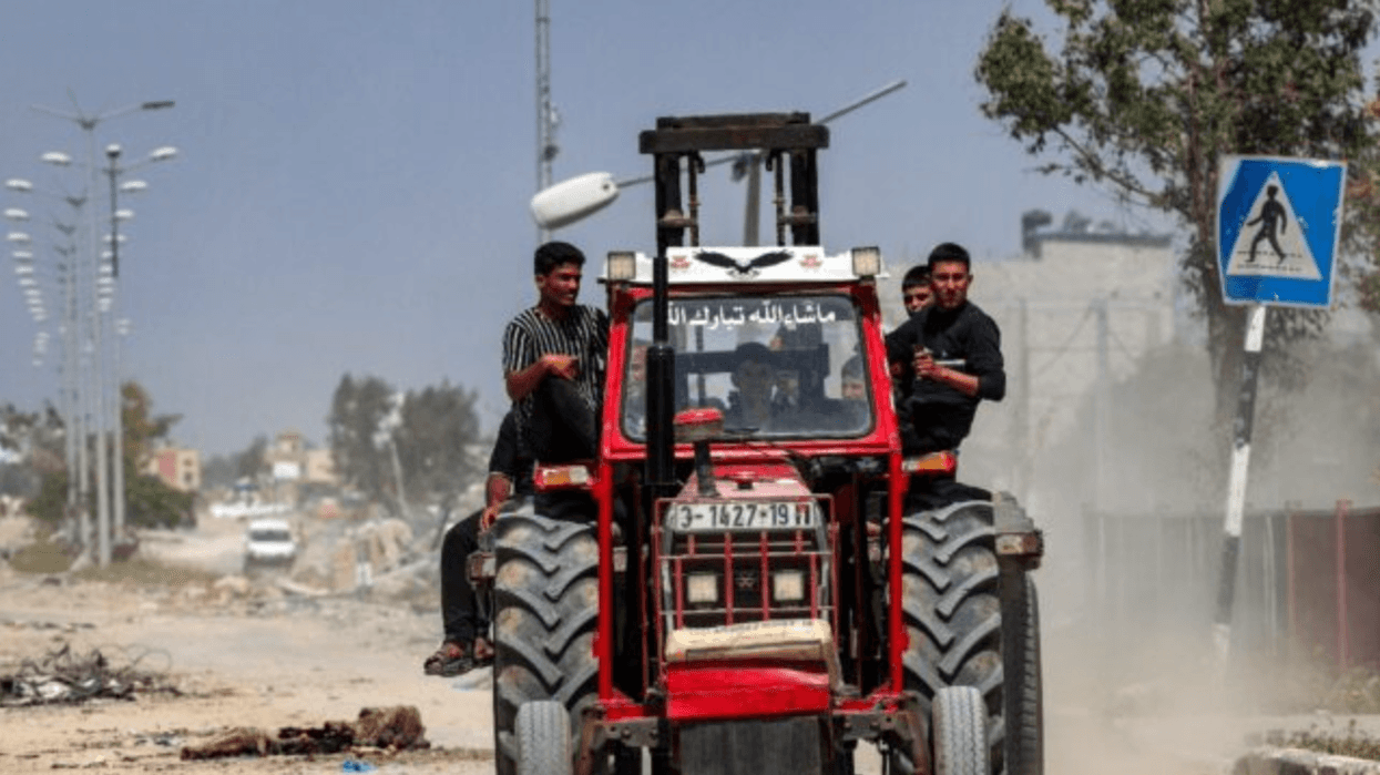 ‘Bulldozed and shelled’: Gaza’s farming sector ravaged by war
