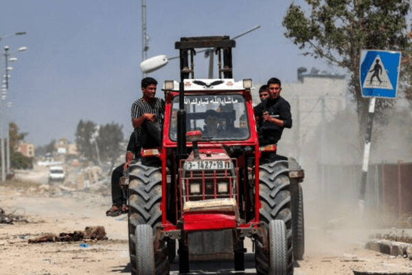 ‘Bulldozed and shelled’: Gaza’s farming sector ravaged by war
