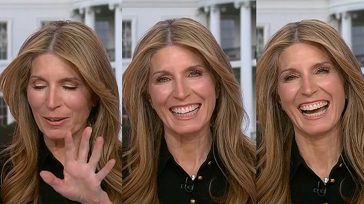 'Weak weenies wreck economies': MSNBC's Nicolle Wallace invents new Trump Cabinet slogan