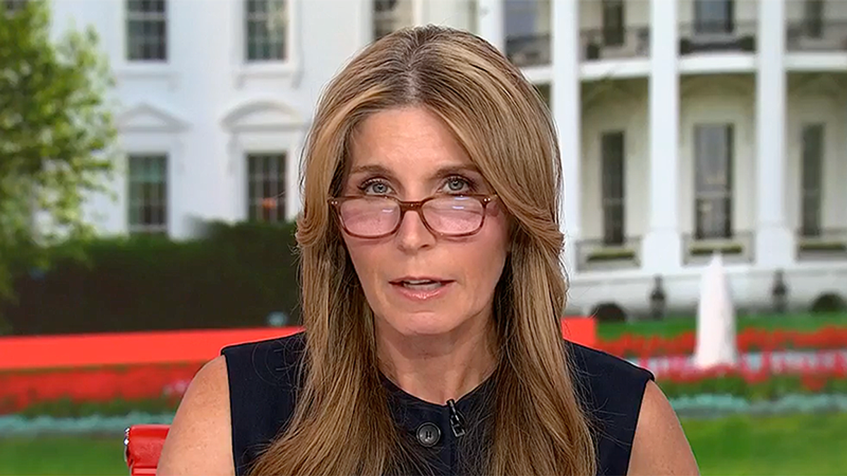 MSNBC's Nicolle Wallace in awe watching prominent Dem 'take a 2x4' to Trump claims