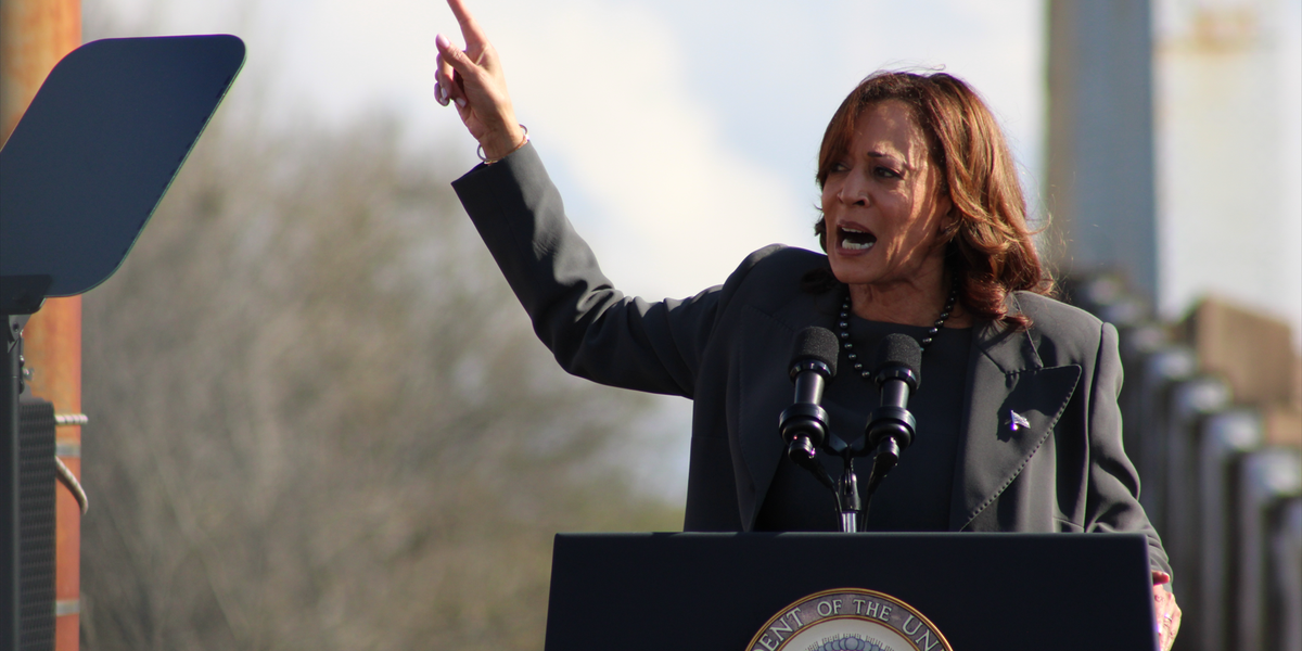 ‘Should have taken the hint!’ White House fumes as Kamala Harris teases third run