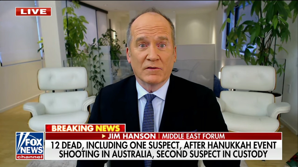 'Start rounding them up!' Conservative commentator blames mass shooting on peace activists