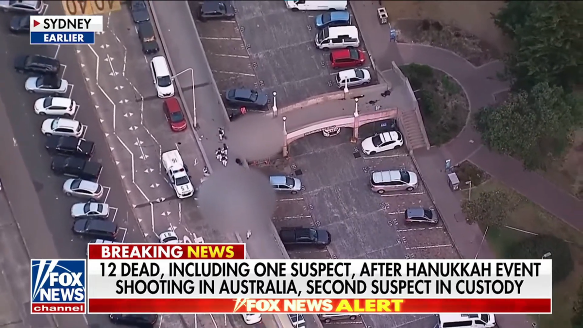 'Absolute legend': Observers hail 'hard as nails' man who wrestled gun from mass shooter