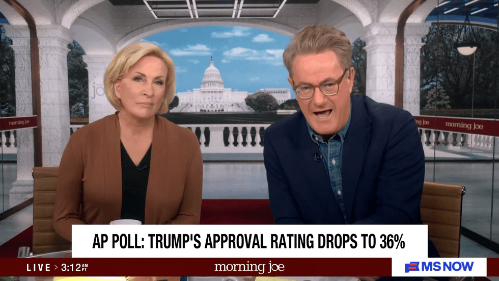 'Never seen polling like this': News hosts taken aback by '51 point swing' against Trump
