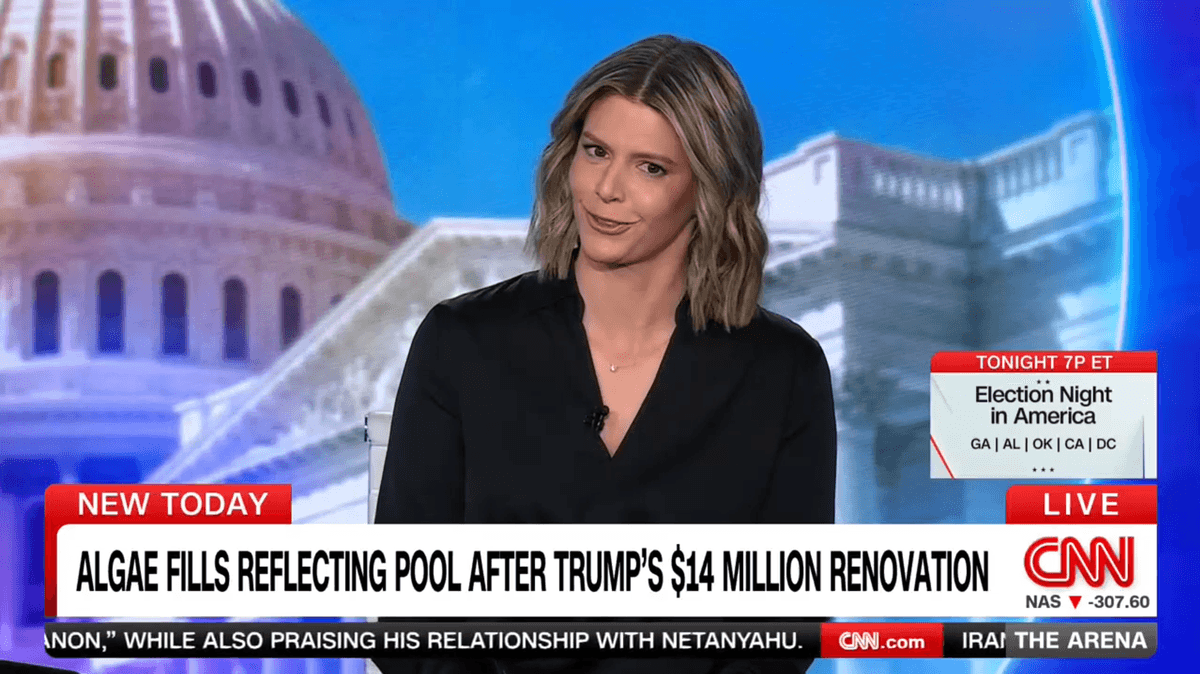 CNN pundits revel in metaphor of Trump's failures: 'Leaps out at you'