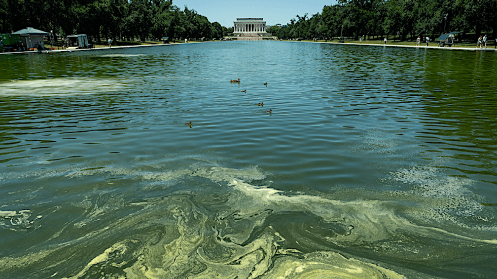 CNN plumbs depths of 'green as heck' Reflecting Pool's algae infestation